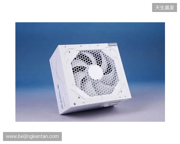 黑白双鹰，白金降临：技嘉猎鹰 冰猎鹰白金电源4月27日开售